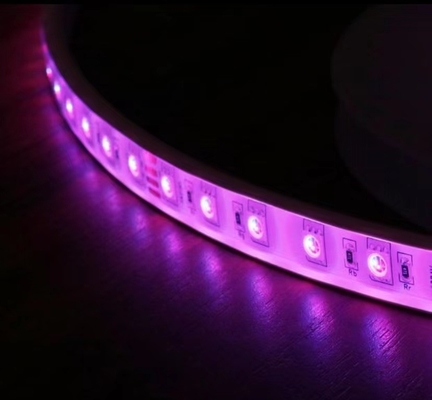 Remote Control SMD 5050 RGB LED Strip 24v Flexible LED Tape For Bar Ceiling