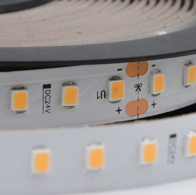 Constant Current 10mm LED Strip Tape Light SMD2835 DC24V RA90 6500K